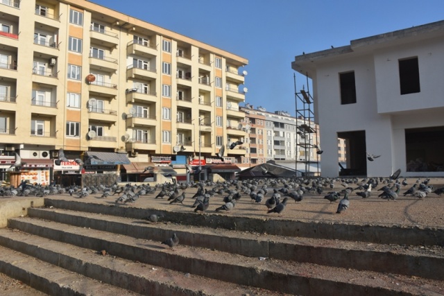Boyabat'ta yapımı devam eden meydan projesi inşaatını mesken tutan güvercinler güzel bir görüntü oluşturuyor.