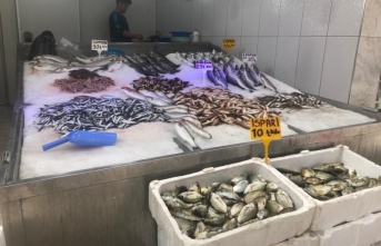 Sinop’ta korona virüs balık fiyatlarını düşürdü  