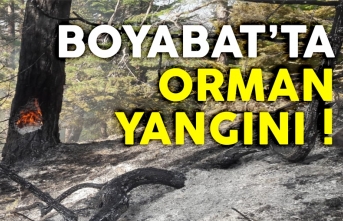 Boyabat'ta meydana gelen orman yangını kontrol altına alındı