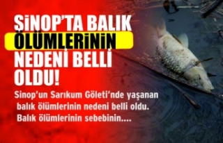 Sinop'ta Balık Ölümlerinin nedeni belli oldu