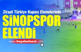 Ziraat Türkiye Kupasında Sinopspor Elendi