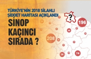 Türkiye'nin 2018 Yılı Silahlı Şiddet Haritası...