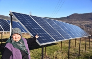Kezban Teyze'nin güneş enerji santrali
