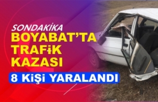 Boyabat Maruf Köyü'nde Kaza 8 Yaralı