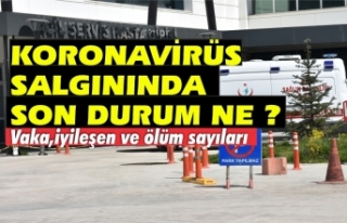 Sinop genelinde Covid 19 salgını son durum
