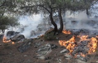 Boyabat Koçak Köyü mevkisindeki orman yangını...