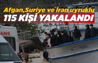 Son Dakika ! Sinop'ta 115 göçmen kıskıvrak...