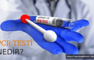 PCR Testi Nedir?