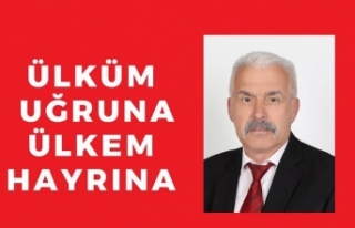 Mehmet Fevzi Erdoğan MHP’ den aday adaylık başvurusu...