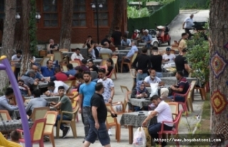  İstanbul'dan Sinop'a tersine göç 