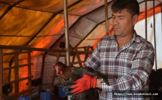Afganistan'dan geldi Sinop'ta yumurta üretimi yapıyor