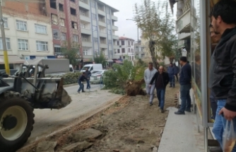 Boyabat İYİ Parti İlçe Başkanı Mithat Mor; "Bu ağaçları kesme amacınız nedir?"
