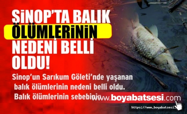 Sinop'ta Balık Ölümlerinin nedeni belli oldu