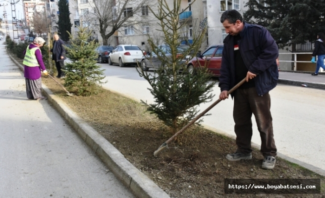 Boyabat Belediyesi Mahalleleri Ağaçlandırıyor