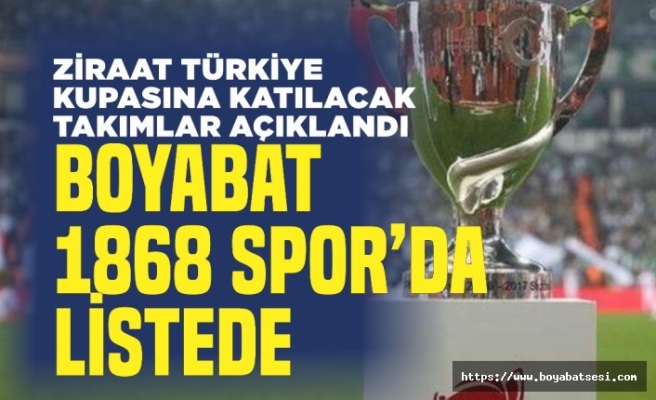 Türkiye Futbol Federasyonundan Boyabat'a Müjde
