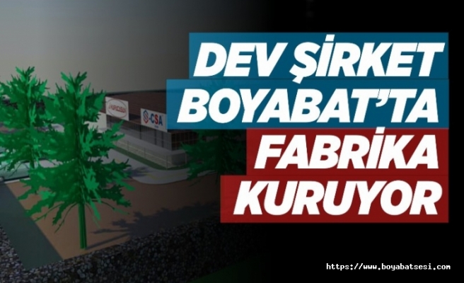 Dev Firma Boyabat'a Fabrika Kuruyor