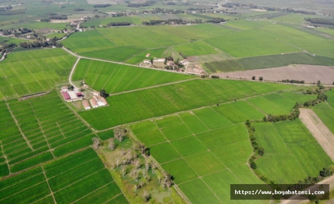 "2019 Yılında Sinop’ta 1.500 Hektar Arazi Toplulaştırıldı"