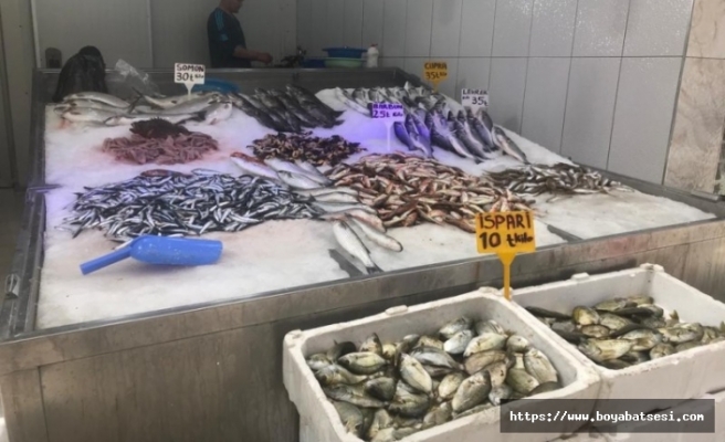 Sinop’ta korona virüs balık fiyatlarını düşürdü  