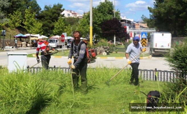 Belediye ekipleri çimleri biçiyor