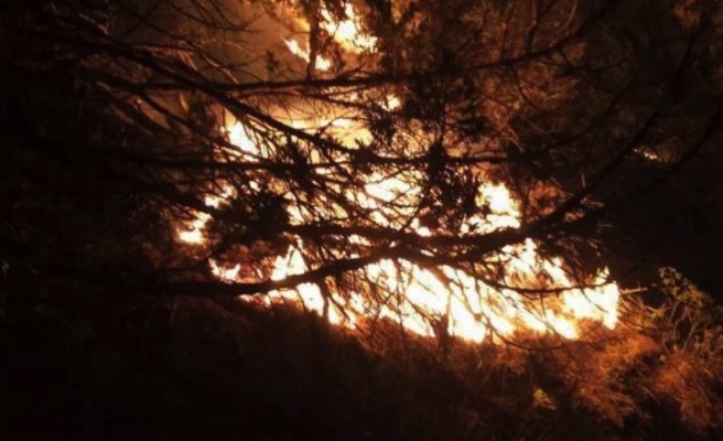 Boyabat'ta çıkan orman yangını söndürme çalışmaları sürüyor