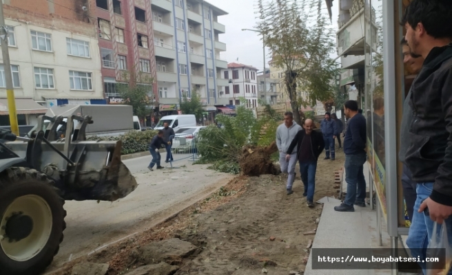 Boyabat İYİ Parti İlçe Başkanı Mithat Mor; "Bu ağaçları kesme amacınız nedir?"