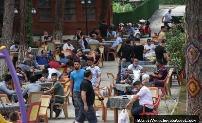  İstanbul'dan Sinop'a tersine göç 